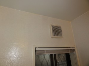 DSC00986